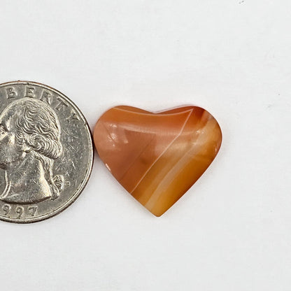 Carnelian Agate Cabochon