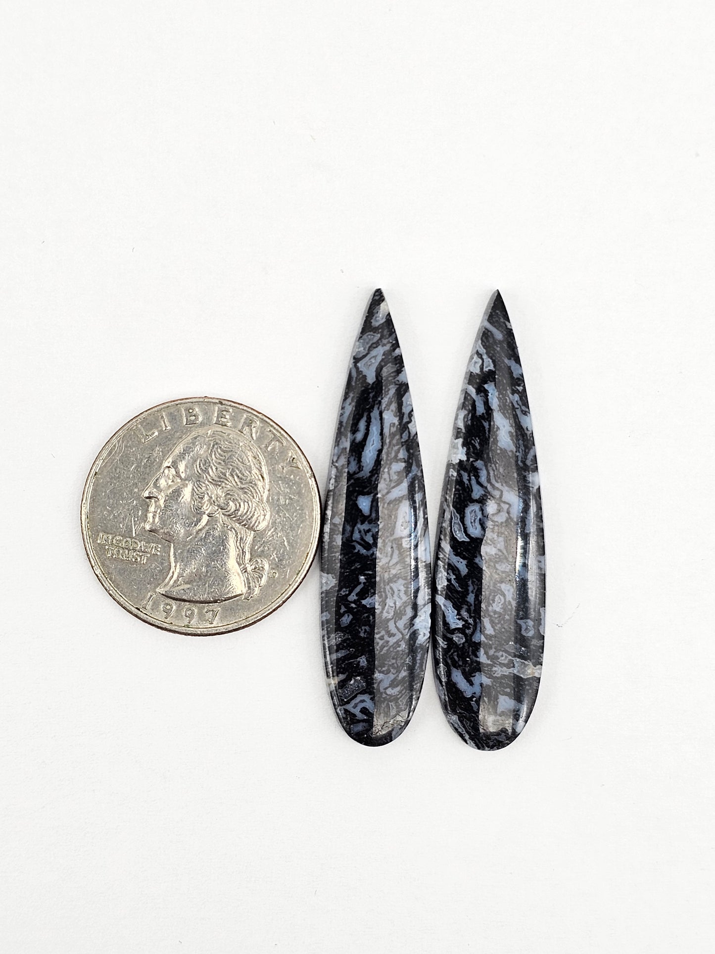 Fossilized dinosaur bone pair