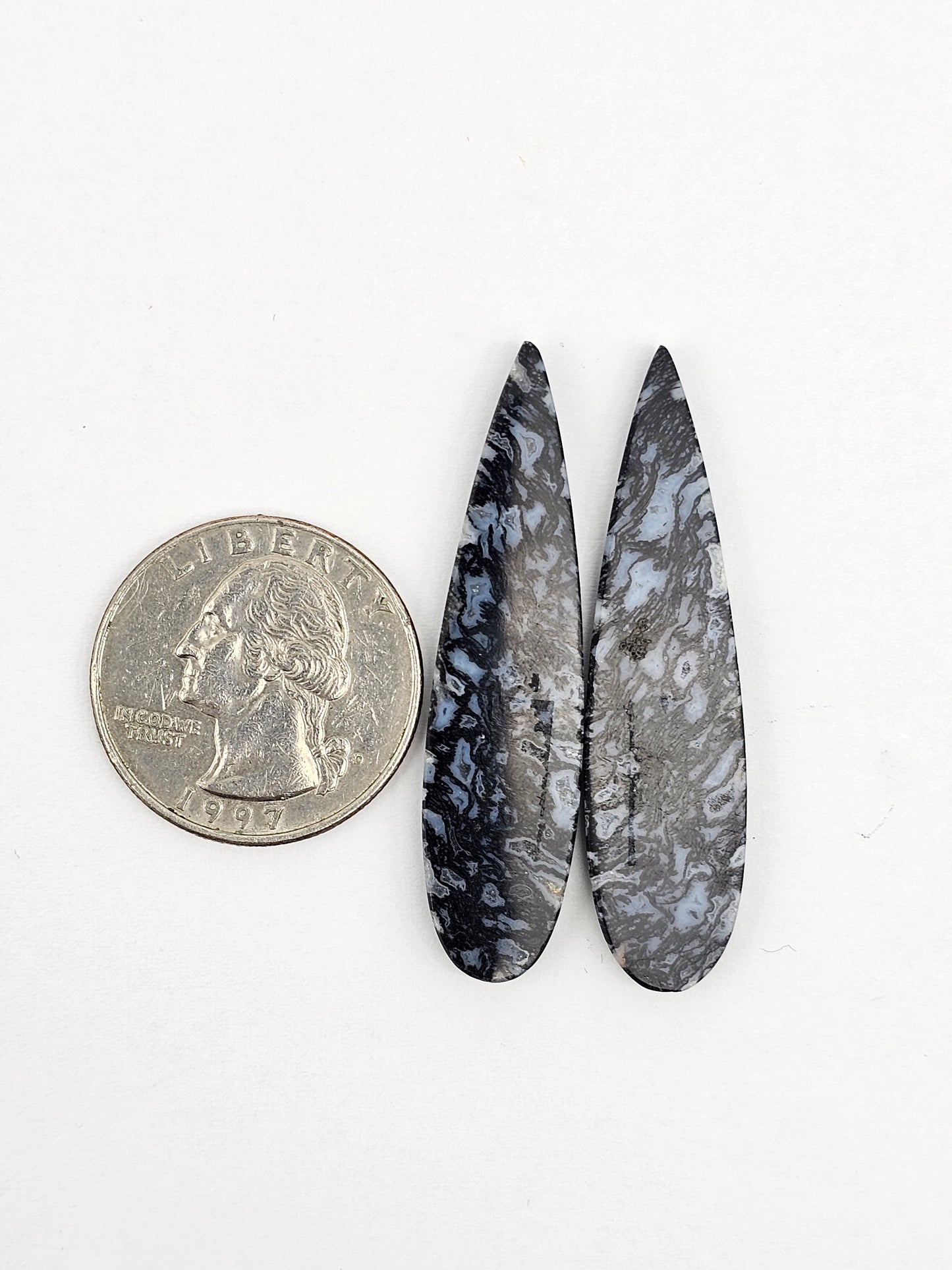 Fossilized dinosaur bone pair