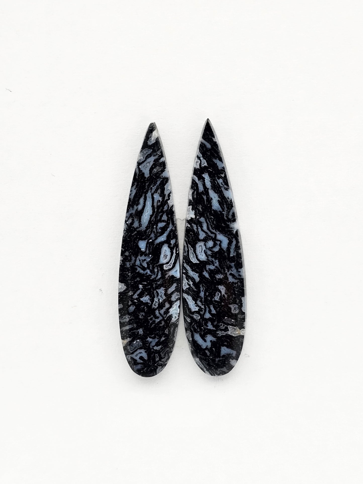 Fossilized dinosaur bone pair