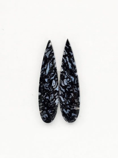 Fossilized dinosaur bone pair