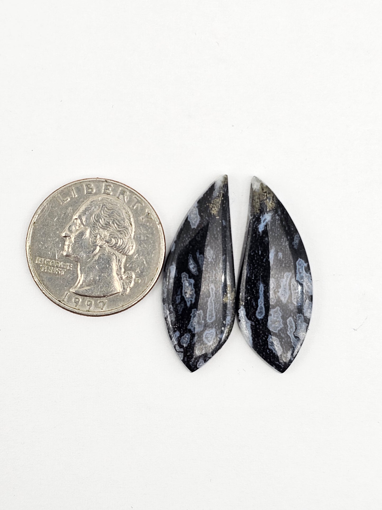 Fossilized dinosaur bone pair