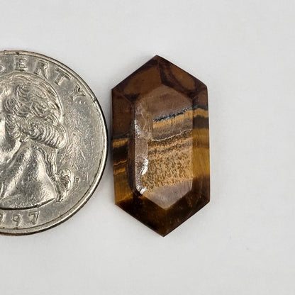 Tiger Eye Geometric Half Faceted Cabochon