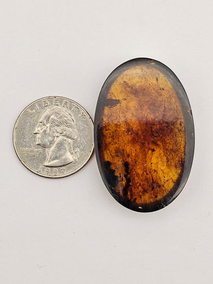 Amber authentic cabochon large