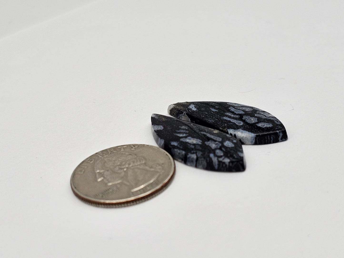 Fossilized dinosaur bone pair