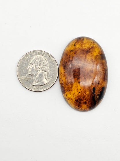Amber authentic cabochon large