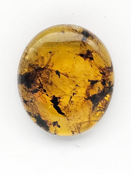 Amber authentic cabochon large