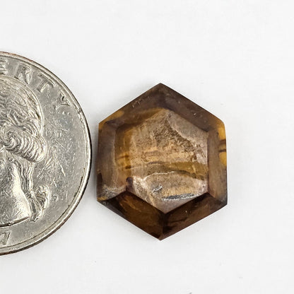 Tiger Eye Geometric Half Faceted Cabochon