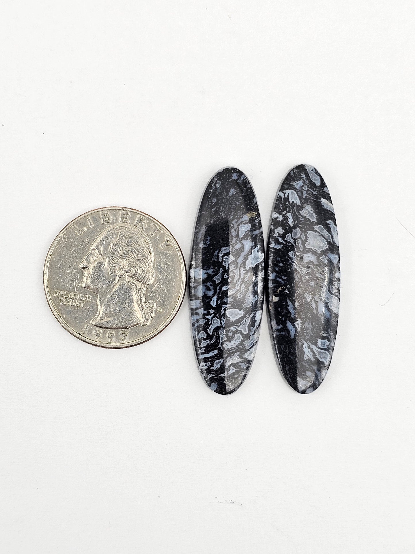 Fossilized dinosaur bone pair