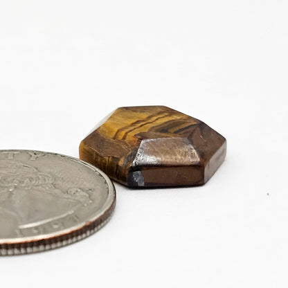 Tiger Eye Geometric Half Faceted Cabochon