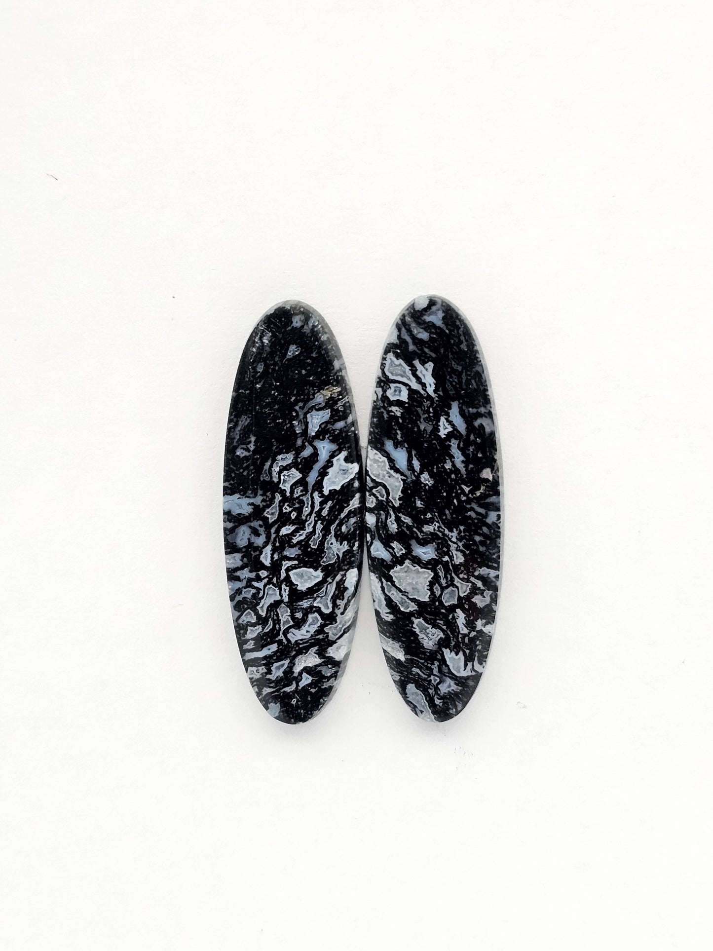 Fossilized dinosaur bone pair