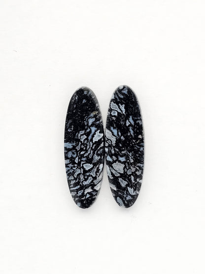 Fossilized dinosaur bone pair