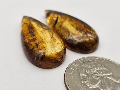 Amber authentic cabochon pair large