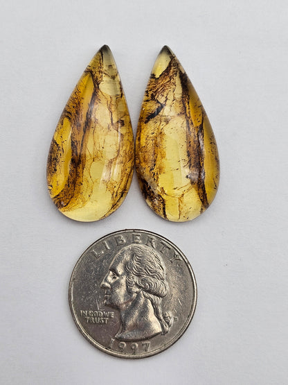 Amber authentic cabochon pair large