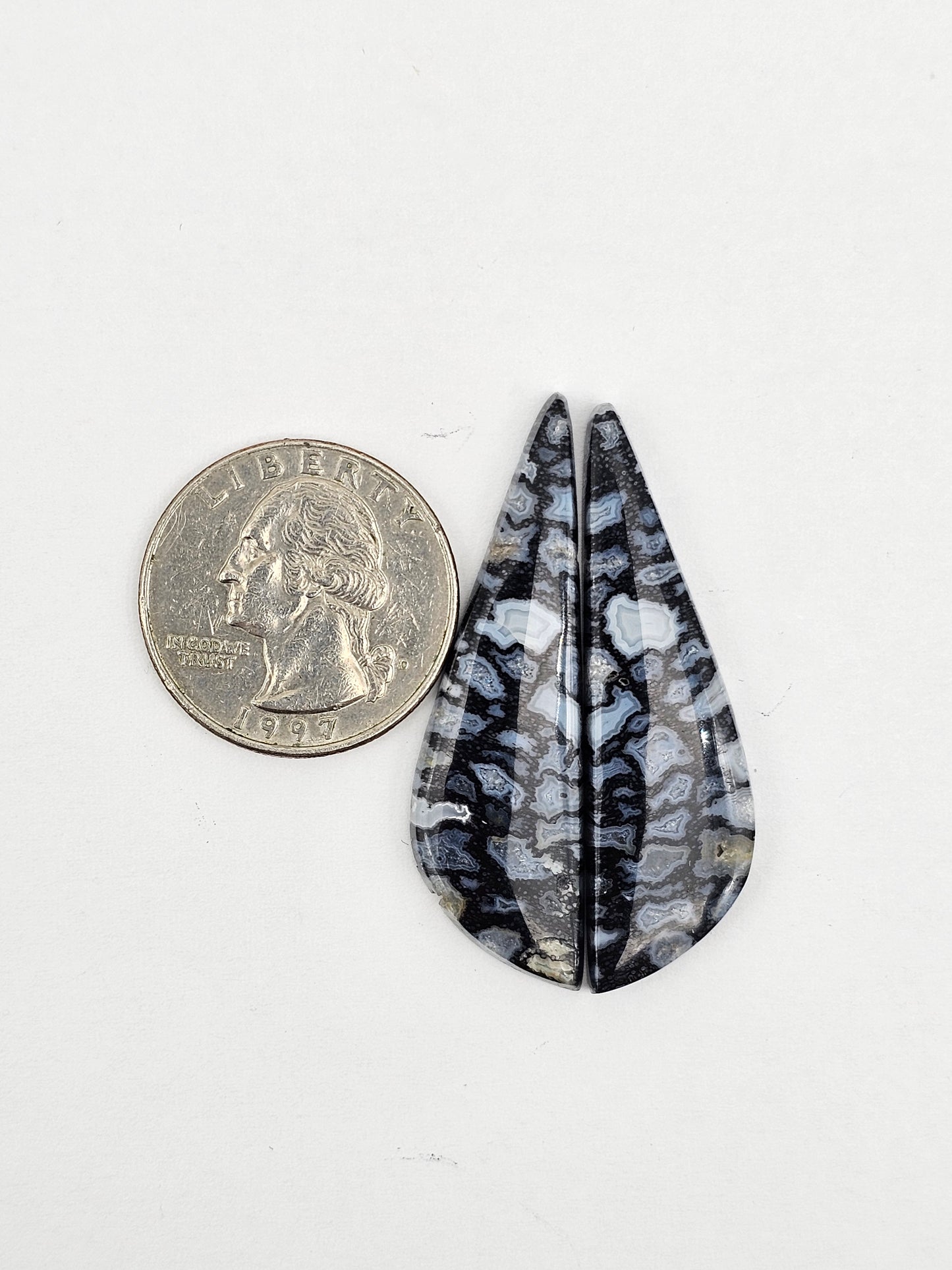 Fossilized dinosaur bone pair