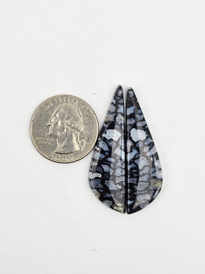 Fossilized dinosaur bone pair