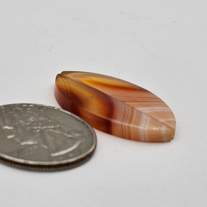 Carnelian Agate Cabochon Pair