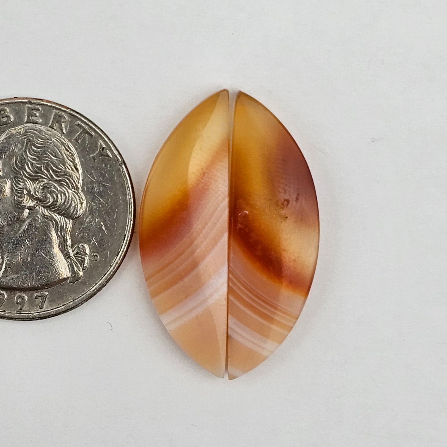 Carnelian Agate Cabochon Pair