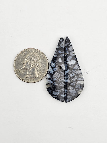 Fossilized dinosaur bone pair