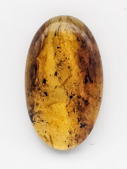 Amber authentic cabochon large