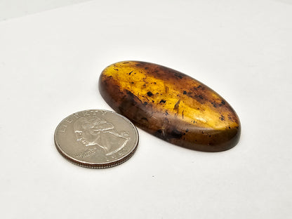 Amber authentic cabochon large