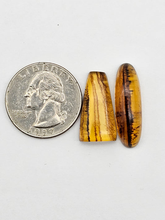 Amber authentic cabochon set large