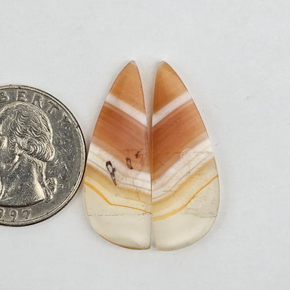 Carnelian Agate Cabochon Pair