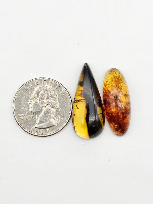 Amber authentic cabochon set large