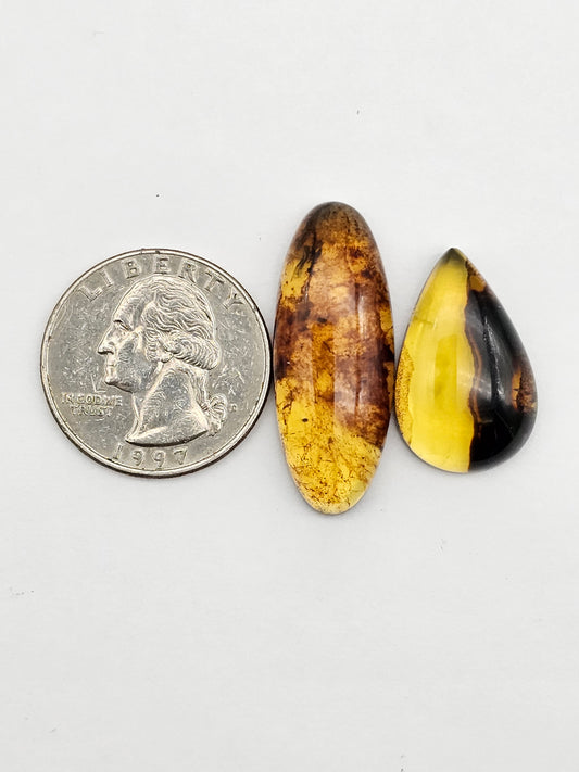 Amber authentic cabochon set large