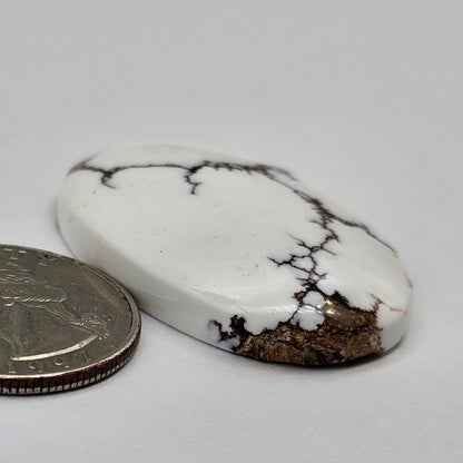 Magnesite Cabochon