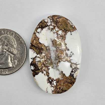 Magnesite Cabochon