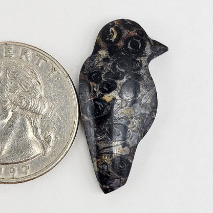 Fossilized Dinosaur Bone Bird Cabochon