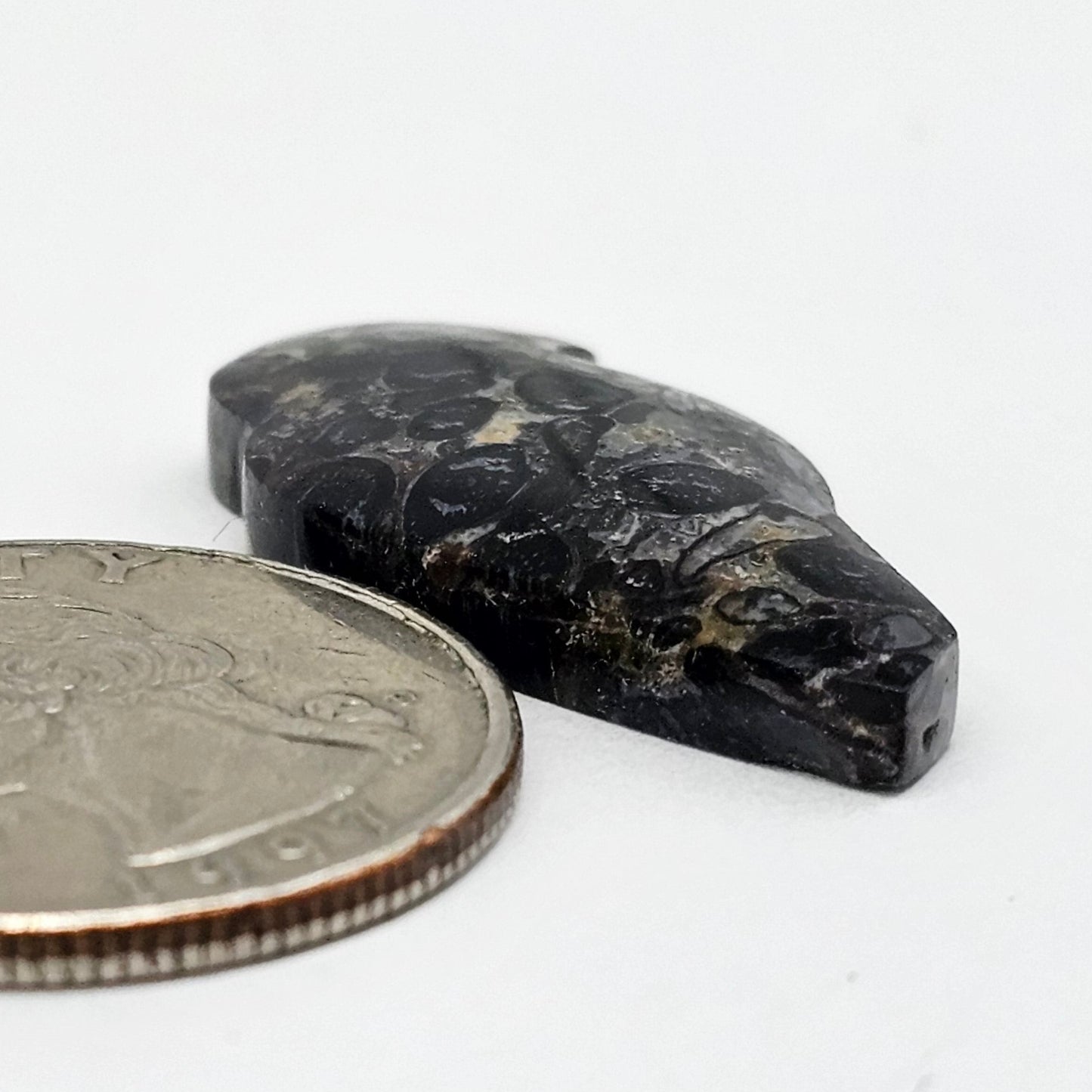 Fossilized Dinosaur Bone Bird Cabochon