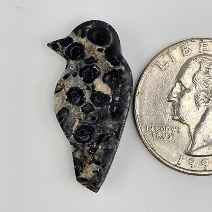 Fossilized Dinosaur Bone Bird Cabochon