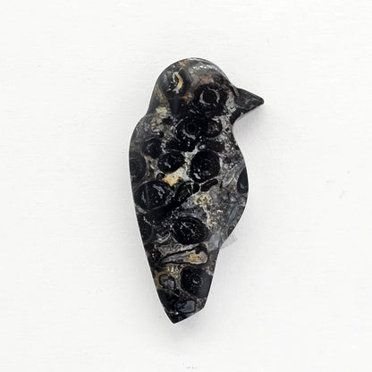 Fossilized Dinosaur Bone Bird Cabochon