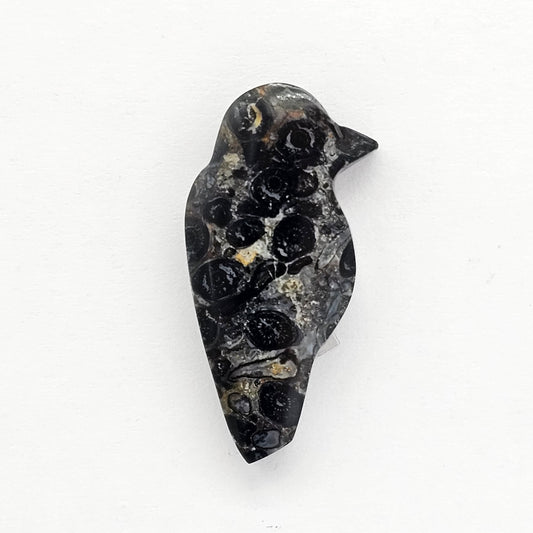 Fossilized Dinosaur Bone Bird Cabochon