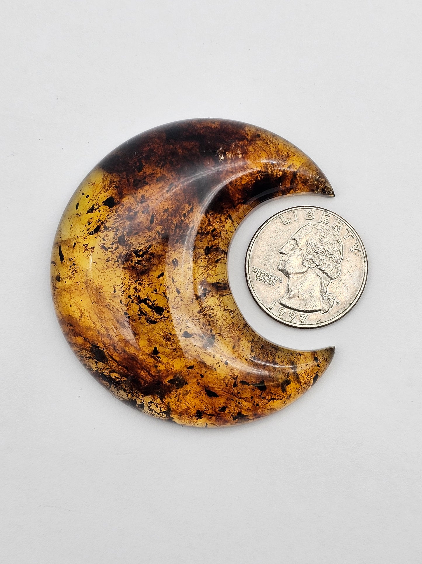 Amber authentic moon cabochon large