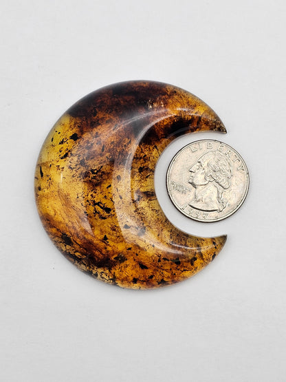Amber authentic moon cabochon large