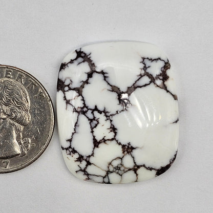 Magnesite Cabochon