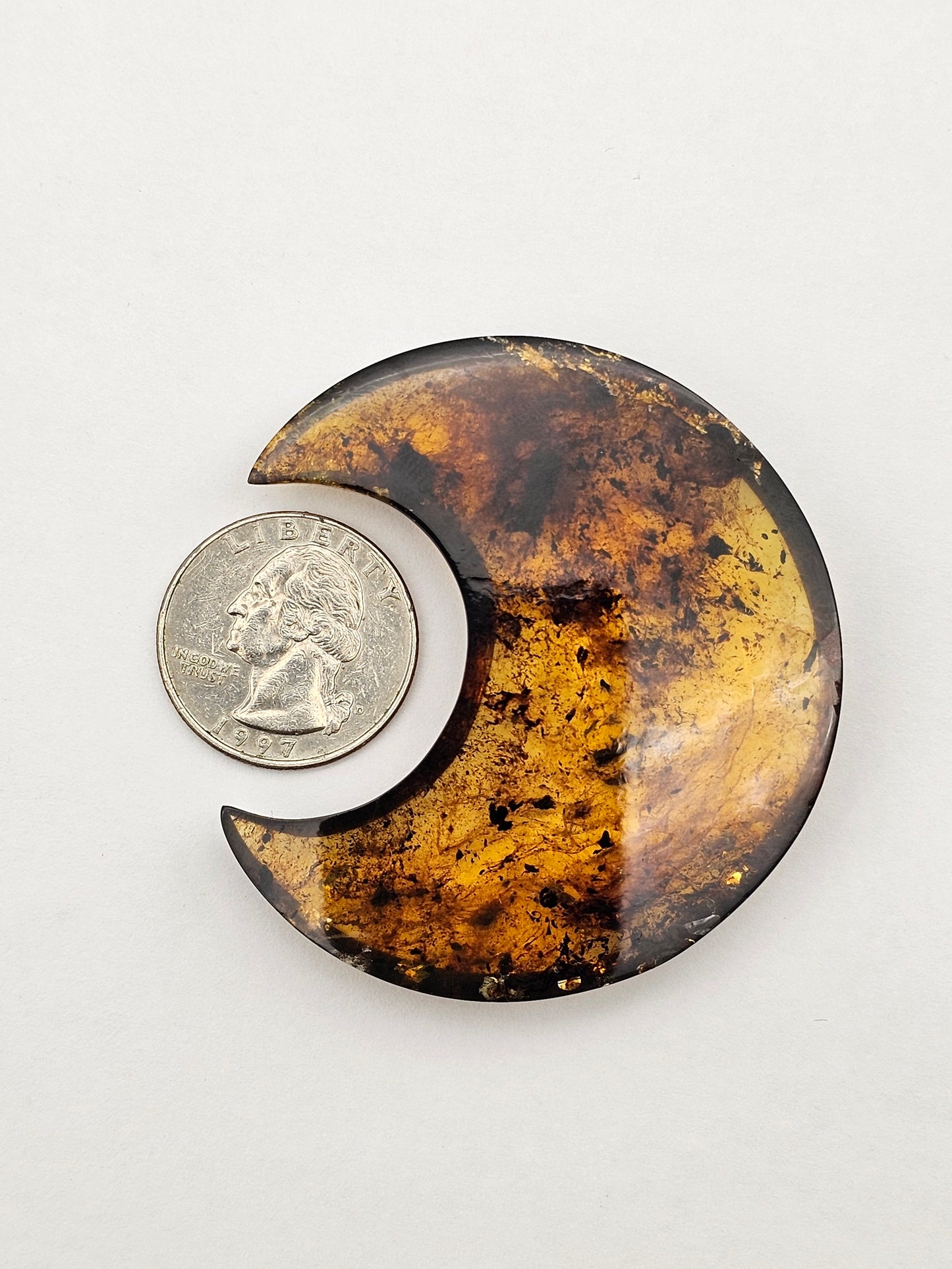 Amber authentic moon cabochon large
