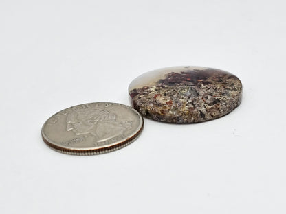 Moss agate cabochon large