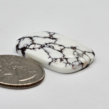 Magnesite Cabochon