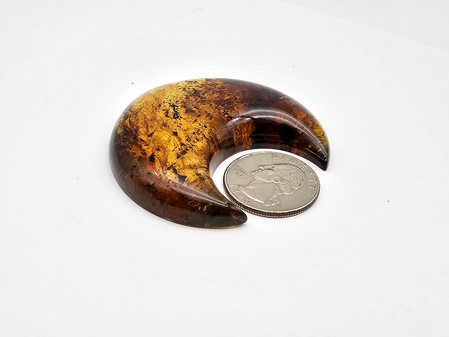 Amber authentic moon cabochon large
