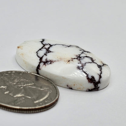 Magnesite Cabochon