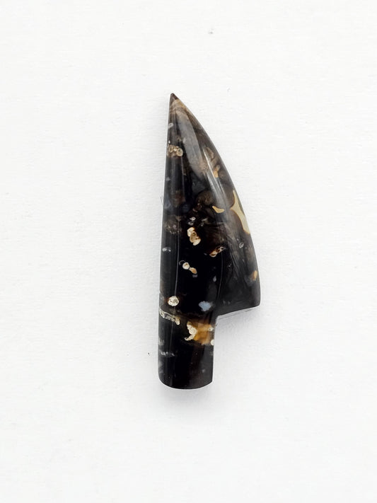 Petrified palm root knife cabochon