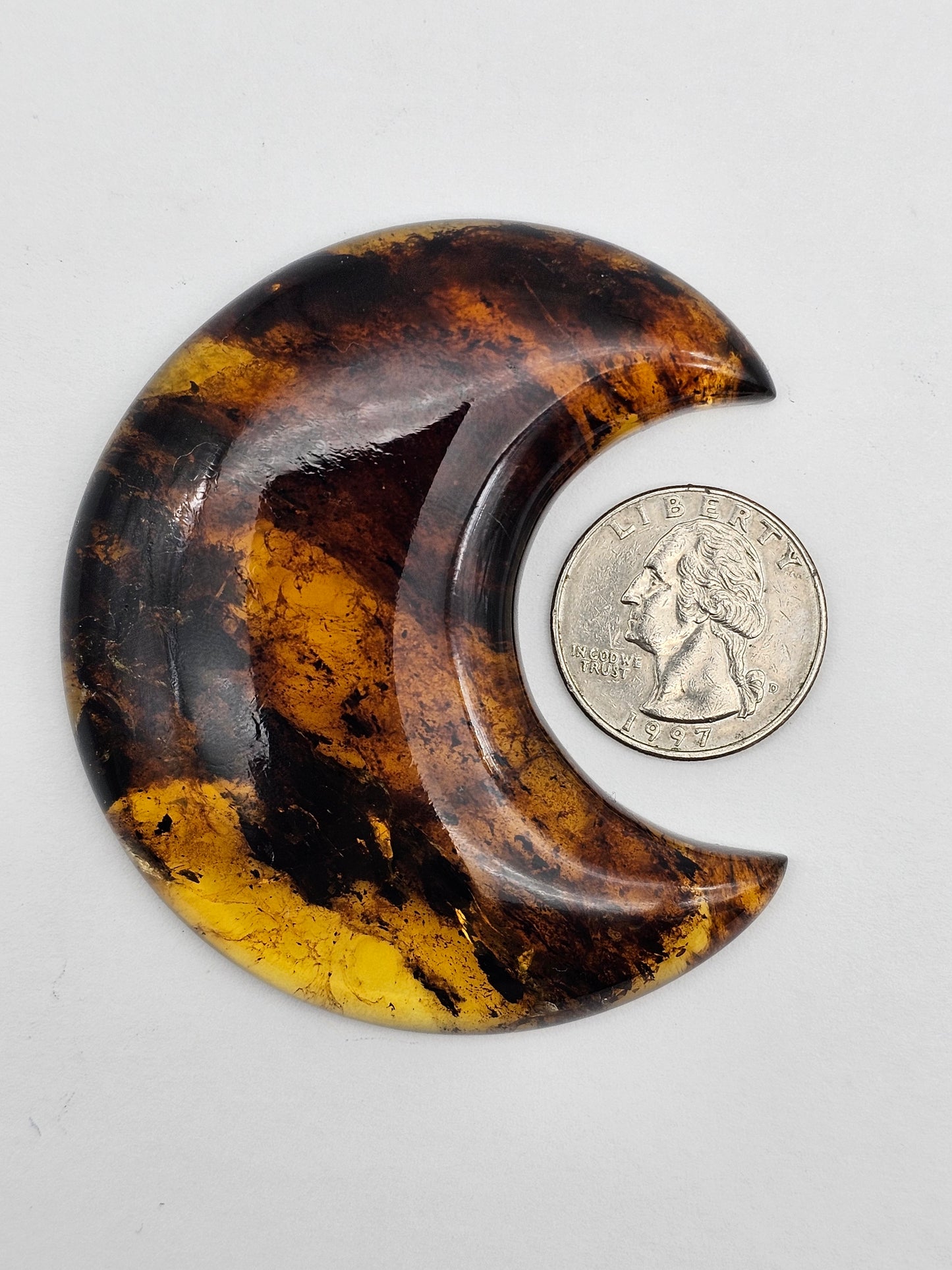 Amber authentic moon cabochon large