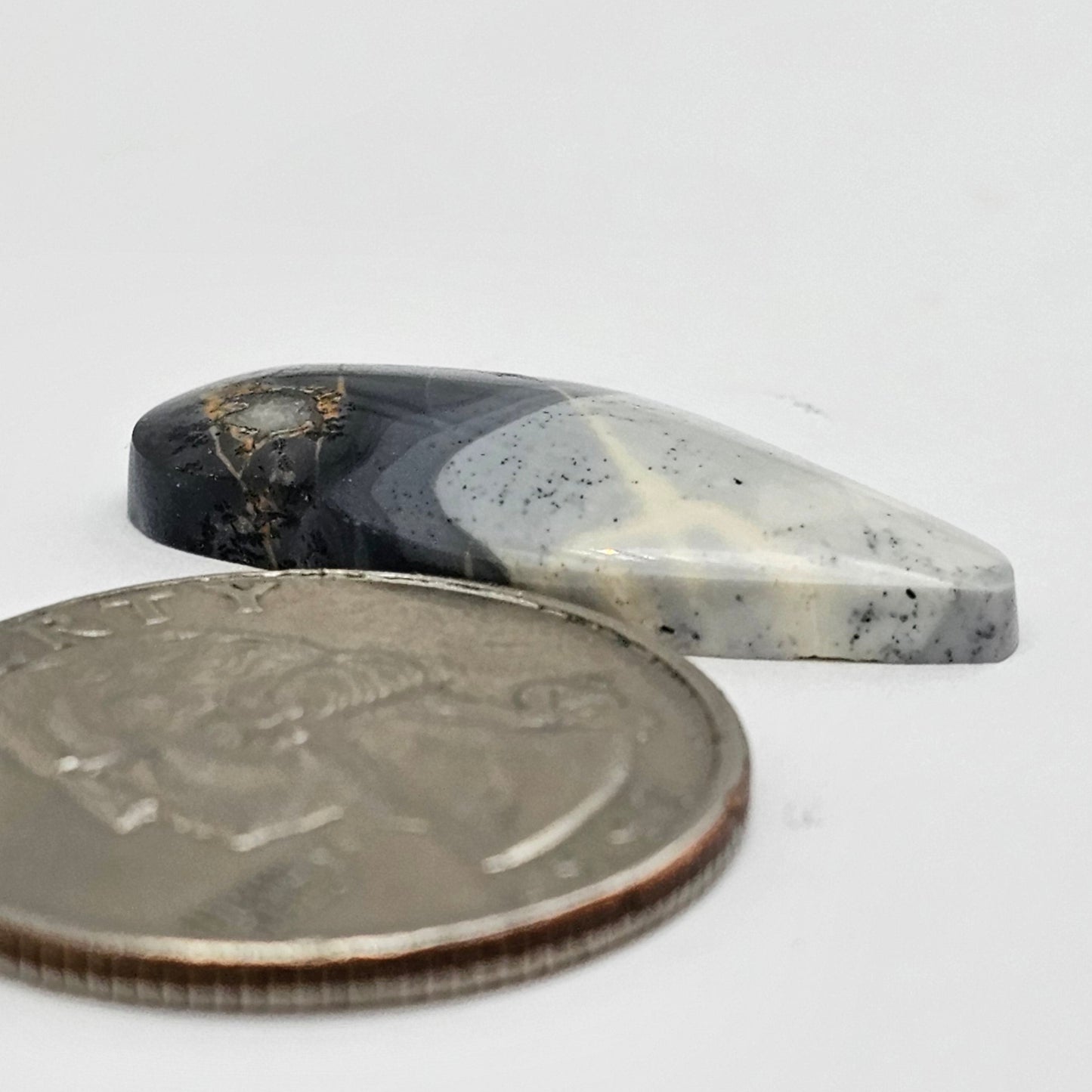 Maligano Jasper Bird Cabochon