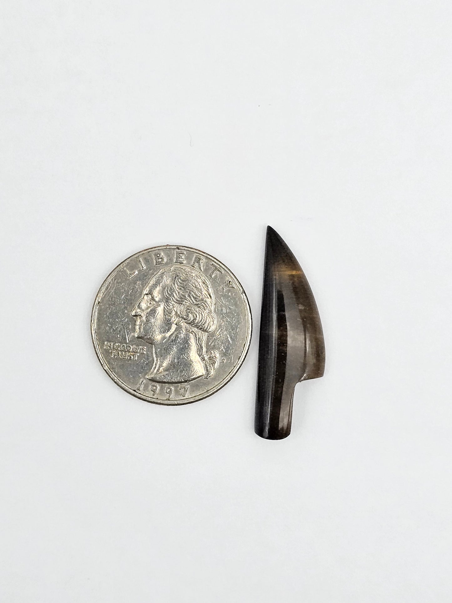 Petrified palm root knife cabochon