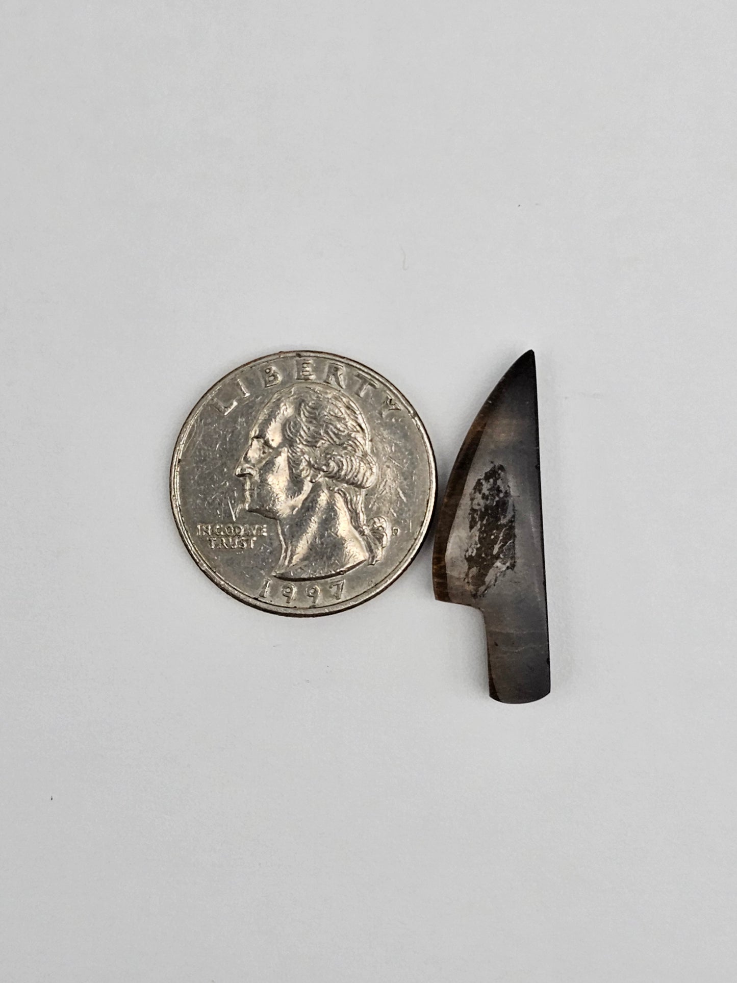 Petrified palm root knife cabochon