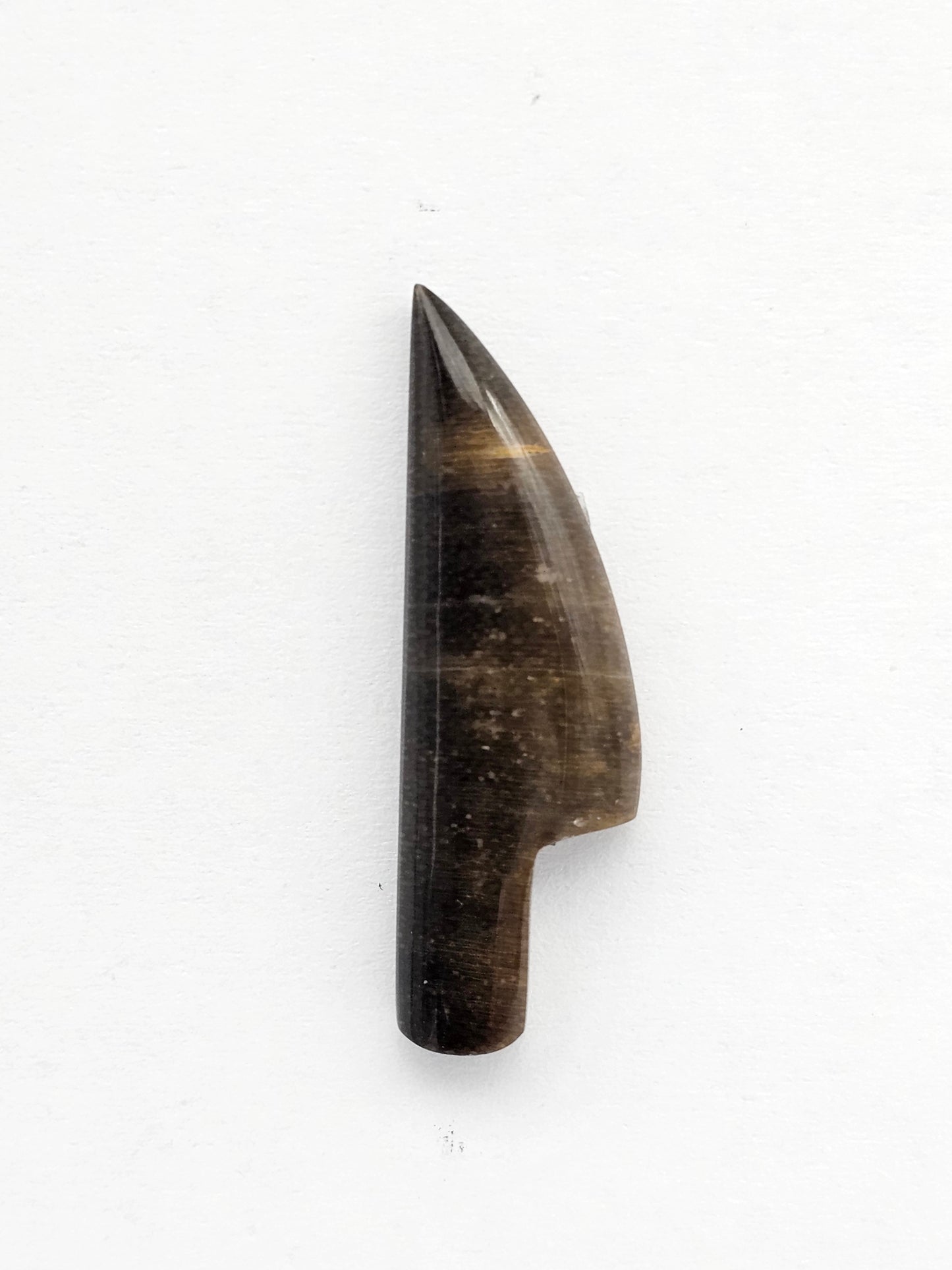 Petrified palm root knife cabochon